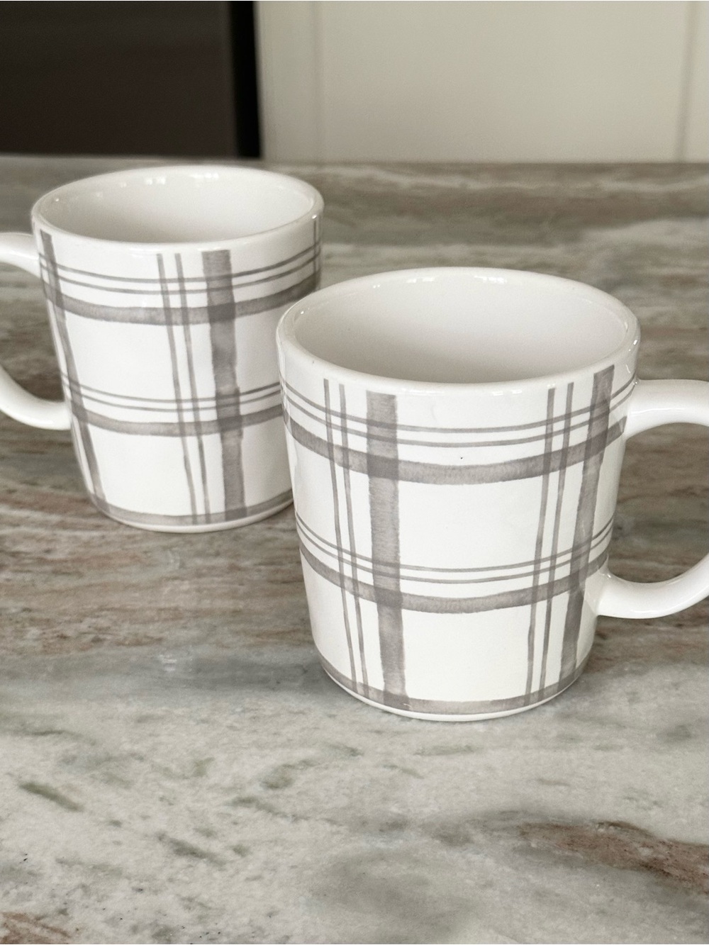 Fall Plaid China Mugs Set of 2